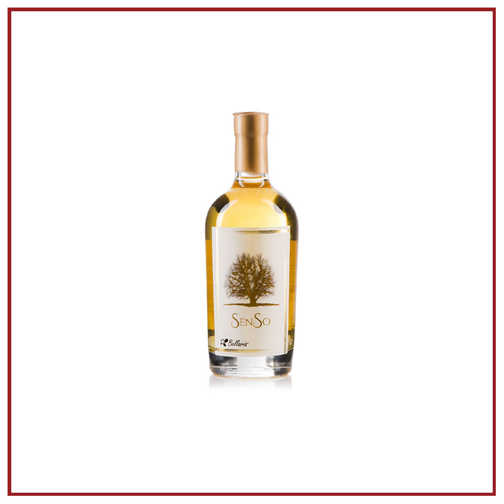 PASSITO di Fiano IGT 2015